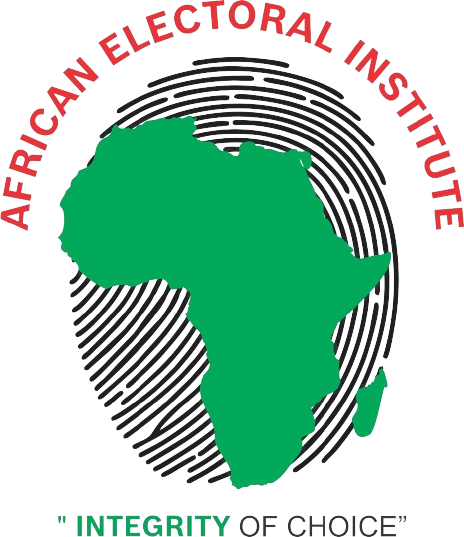 The African Electoral Institute